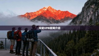 玲珑VPN官网介绍
