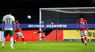 绿叶VPN会员，畅享全球无限可能