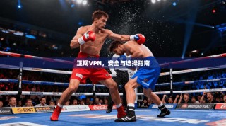 正规VPN，安全与选择指南