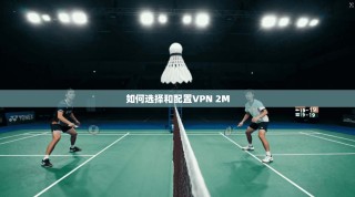 如何选择和配置VPN 2M