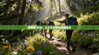 摸鱼网 VPN，让工作与娱乐无缝融合