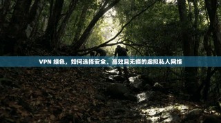 VPN 绿色，如何选择安全、高效且无痕的虚拟私人网络