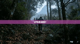 VPN合法吗？