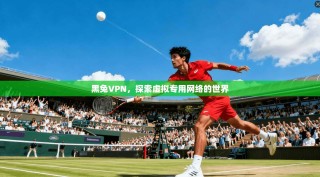 黑兔VPN，探索虚拟专用网络的世界