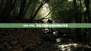 SOS VPN，安全可靠的远程访问解决方案