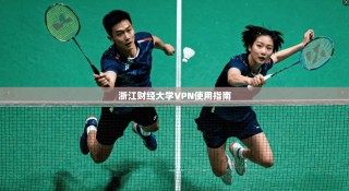 浙江财经大学VPN使用指南