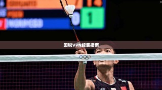 国税VPN续费指南