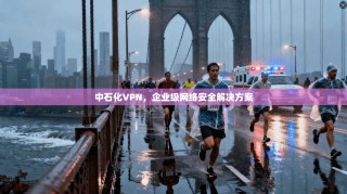 中石化VPN，企业级网络安全解决方案