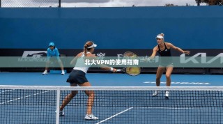 北大VPN的使用指南