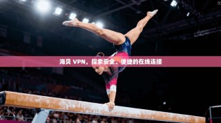 海贝 VPN，探索安全、便捷的在线连接