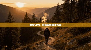 居易VPN，智能网络解决方案