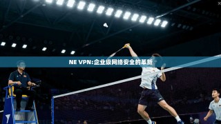 NE VPN:企业级网络安全的革新