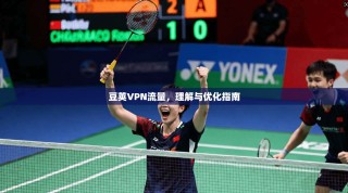 豆荚VPN流量，理解与优化指南