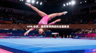 VPN 中文，虚拟专用网络的全面解读