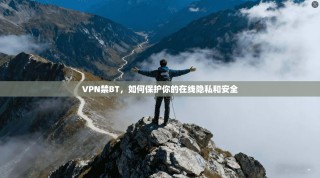 VPN禁BT，如何保护你的在线隐私和安全