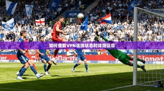 如何查看VPN连接状态和详细信息