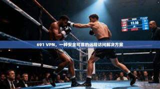 691 VPN，一种安全可靠的远程访问解决方案
