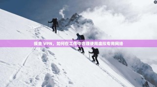 摸鱼 VPN，如何在工作中合理使用虚拟专用网络