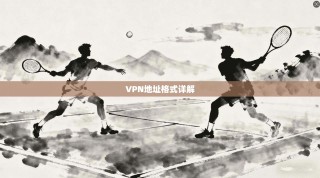 VPN地址格式详解