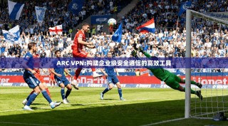 ARC VPN:构建企业级安全通信的高效工具