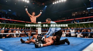 代理VPN访问，安全、便捷与选择指南