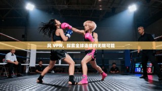 风 VPN，探索全球连接的无限可能