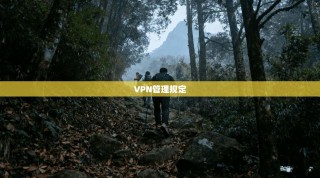 VPN管理规定