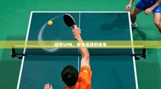 证书VPN，安全连接的未来