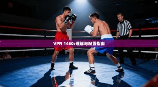 VPN 1460:理解与配置指南