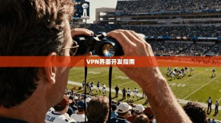 VPN界面开发指南