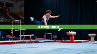 海豹VPN下载指南