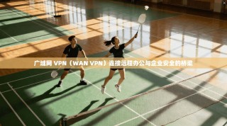 广域网 VPN（WAN VPN）连接远程办公与企业安全的桥梁