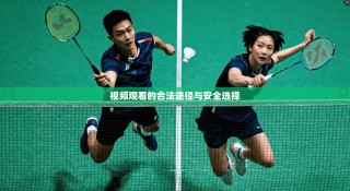 视频观看的合法途径与安全选择