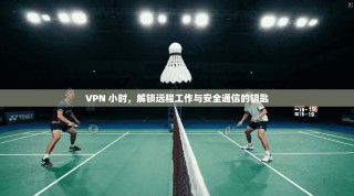 VPN 小时，解锁远程工作与安全通信的钥匙