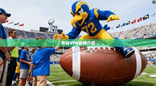 布谷VPN官网介绍