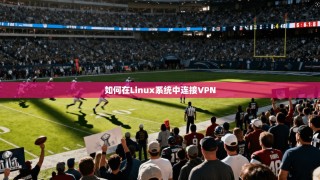 如何在Linux系统中连接VPN