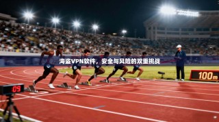 海盗VPN软件，安全与风险的双重挑战