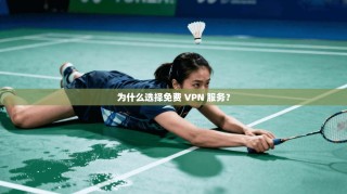 为什么选择免费 VPN 服务？