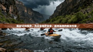 商业VPN服务，为企业提供安全、高效连接的解决方案