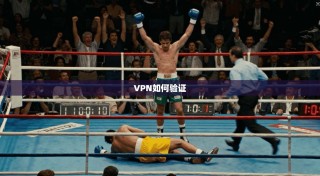 VPN如何验证