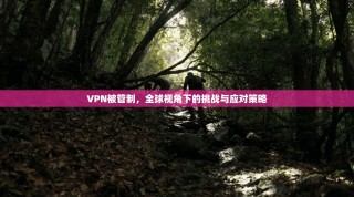 VPN被管制，全球视角下的挑战与应对策略