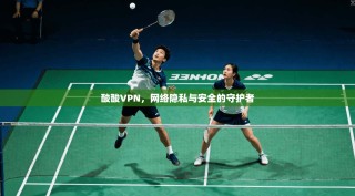 酸酸VPN，网络隐私与安全的守护者