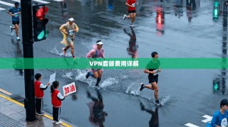 VPN套餐费用详解