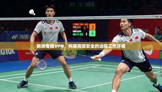 欧洲专线VPN，构建高效安全的远程工作环境