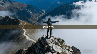 VPN 分布