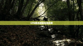 VPN静态路由配置指南