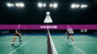 VPN 部分代理