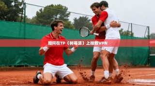 如何在TP（树莓派）上挂载VPN