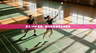 华大 VPN 解密，如何安全连接全球网络