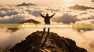哔卡的VPN，安全与便捷并存的网络解决方案